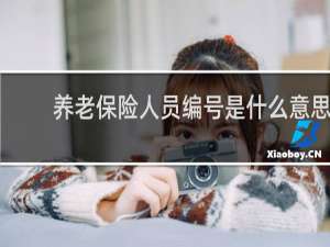 养老保险人员编号是什么意思