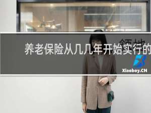 养老保险从几几年开始实行的