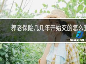 养老保险几几年开始交的怎么查