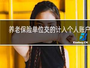 养老保险单位交的计入个人账户吗