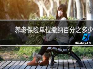 养老保险单位缴纳百分之多少