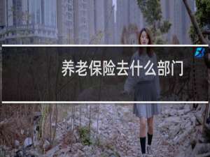 养老保险去什么部门