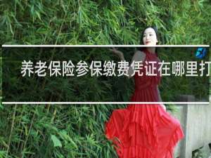 养老保险参保缴费凭证在哪里打印