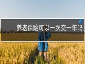 养老保险可以一次交一年吗
