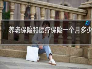 养老保险和医疗保险一个月多少钱