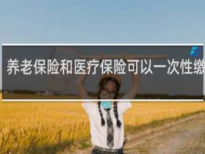 养老保险和医疗保险可以一次性缴纳吗