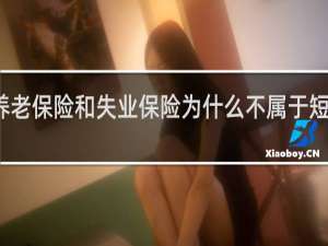 养老保险和失业保险为什么不属于短期薪酬