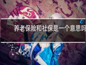 养老保险和社保是一个意思吗