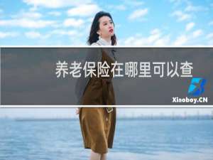 养老保险在哪里可以查