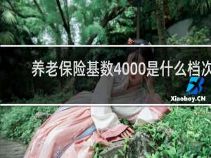 养老保险基数4000是什么档次