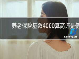 养老保险基数4000算高还是低