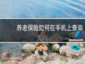 养老保险如何在手机上查询