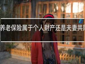 养老保险属于个人财产还是夫妻共同财产