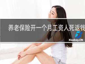 养老保险开一个月工资人死返钱吗