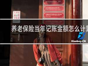 养老保险当年记账金额怎么计算