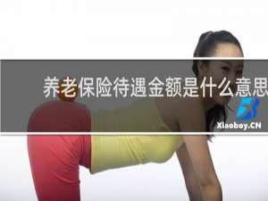 养老保险待遇金额是什么意思
