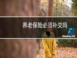 养老保险必须补交吗