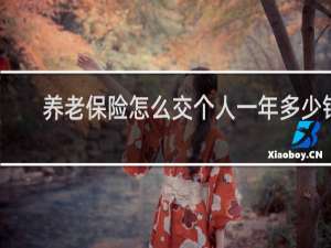 养老保险怎么交个人一年多少钱