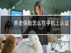 养老保险怎么在手机上认证