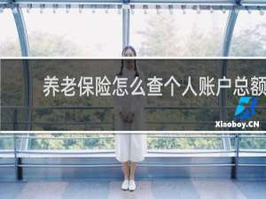养老保险怎么查个人账户总额