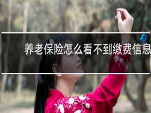 养老保险怎么看不到缴费信息