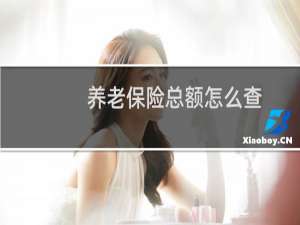养老保险总额怎么查