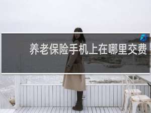 养老保险手机上在哪里交费