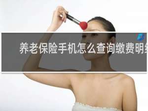养老保险手机怎么查询缴费明细