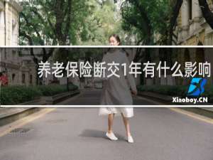 养老保险断交1年有什么影响