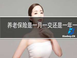 养老保险是一月一交还是一年一交