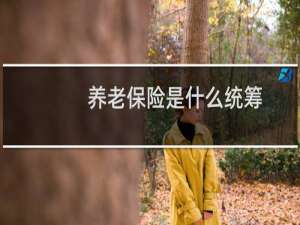 养老保险是什么统筹