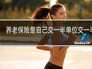 养老保险是自己交一半单位交一半吗