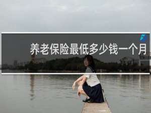 养老保险最低多少钱一个月