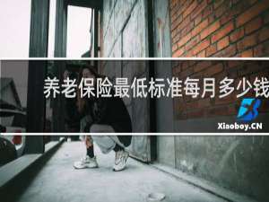 养老保险最低标准每月多少钱