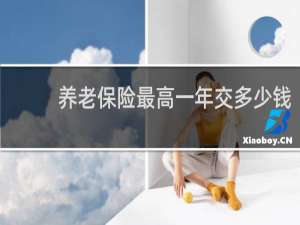 养老保险最高一年交多少钱