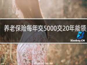 养老保险每年交5000交20年能领多少