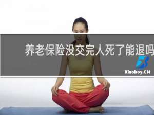 养老保险没交完人死了能退吗