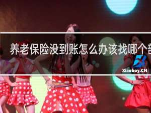 养老保险没到账怎么办该找哪个部门