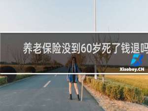 养老保险没到60岁死了钱退吗
