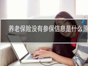 养老保险没有参保信息是什么原因