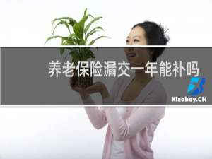 养老保险漏交一年能补吗