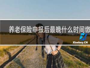养老保险申报后最晚什么时间缴费