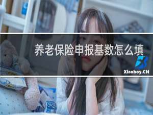 养老保险申报基数怎么填