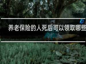 养老保险的人死后可以领取哪些钱