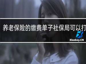 养老保险的缴费单子社保局可以打印吗