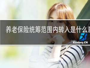 养老保险统筹范围内转入是什么意思