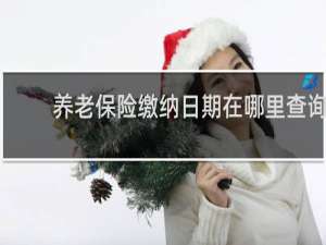 养老保险缴纳日期在哪里查询