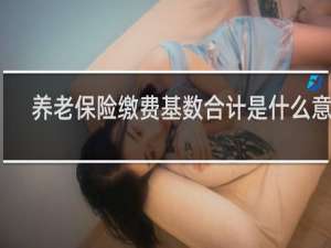 养老保险缴费基数合计是什么意思