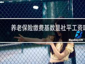 养老保险缴费基数是社平工资吗