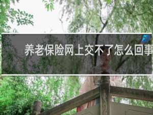 养老保险网上交不了怎么回事